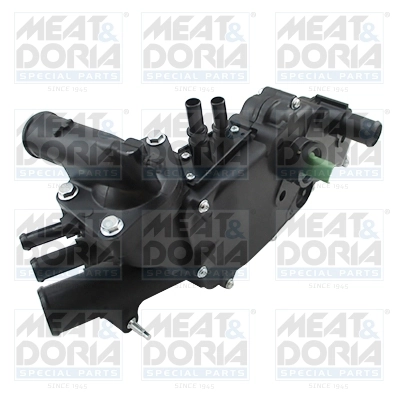 Thermostat, coolant